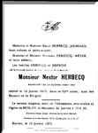 Herbecq-Nestor